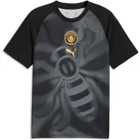 Puma Manchester City Fc 26/27 Warm Up Pre Match Short Sleeve T-shirt Grijs L Man