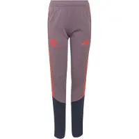 Adidas Sportbroek 'FC Bayern München 26/27' nachtblauw / mauve / rood