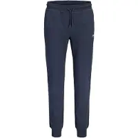 Jack & Jones PLUS - JPSTGORDON ARCHIVE SWEAT PANTS NOOS PLS Heren Broek