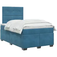 vidaXL Boxspringbed met matras en hoofdeinde, blauw, 120 x 200 cm, fluweel