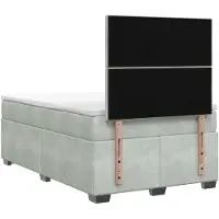vidaXL Boxspringbed met matras Lichtgrijs 120 x 190 cm Fluweel