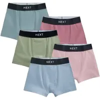 Next Onderbroek lichtblauw / pastelgroen / rosa / oudroze