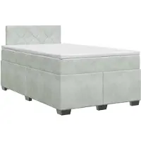 vidaXL Boxspringbed met matras, lichtgrijs, 120 x 190 cm, fluweel