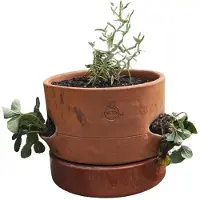 Dutchlander stapelbare kweekpot aardbeienpot - terracotta - 1 etage - 28 x 28 x 23 cm