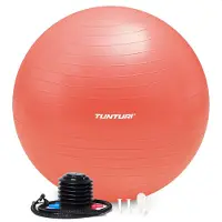 Tunturi Anti Burst Fitness bal met Pomp - Yoga bal 90 cm - Pilates bal - Zwangerschapsbal – 220 kg gebruikersgewicht - Incl Trainingsapp – Rose Goud