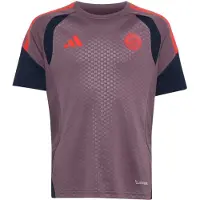 Adidas Functioneel shirt 'FC Bayern München 26/27' navy / lichtlila / rood