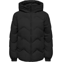 JDY Power short hood puffer