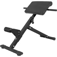 Gorilla Sports Inklapbare Buik- en Rugtrainer Zwart