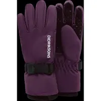 Didriksons Biggles 4, skihandschoenen, kinderen, paars