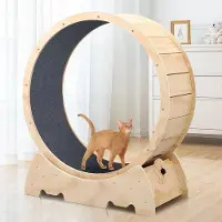 Famanu loopwiel - Fitness voor grote katten - Geel