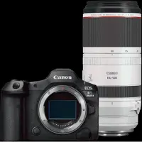Canon EOS R5 Mark II + RF 100-500mm f/4.5-7.1L IS USM