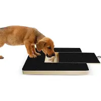 Famanu krabplank voor honden - 35 x 25 x 3 cm - Ingebouwde traktendoos - Verwisselbare schuurvlakken