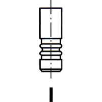 IPSA R4611/BMARCR Uitlaatklep