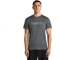 Icebreaker 150 Tech Lite Ibcoordinates T-shirt Met Korte Mouwen