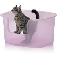 OEM Grote kattenbak, 63 cm x 45 cm x 33 cm diep, gemakkelijk schoon te maken, lage ingang, anti-geur, transparant paars