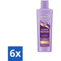 Andrélon 6 x – Shampoo – Intense Repair – 250 ml - Haar Herstellen - Beschadigd Haar - Keratine Shampoo - Haar Beschermen - Haar Herstel