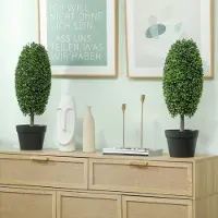 HAUSS SPOLE Kunstplant 60 Cm UV-Bestendig 2-Delig Kunststof Groen Voor Binnen & Buiten Met Pot Olijfvormig Onderhoudsvrij En Levensecht