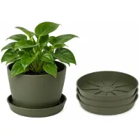 Pro Garden plantenpot onder schotel - 3x - opvang schaal - donkergroen - dia 24 cm - Kunststof - rond - voor een bloempot met dia 25/30 cm