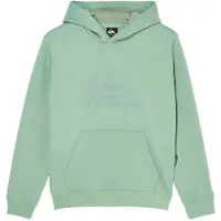 Quiksilver - Kid's Comp Logo Hoodie - Hoodie 14, groen
