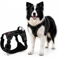 By Cee Cee Hondentuigje Hondenharnas - Anti Trek Tuig - Y Tuig Hond – Reflecterend Honden Tuigje – Zwart – Maat L