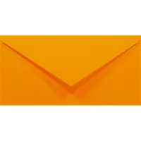 Netuno Gladde oranje enveloppen A4 - 110 x 220 mm - 50 stuks - NK natgelijmde - 80 gram - Rainbow -