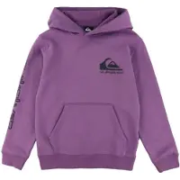 Quiksilver Omni Logo Hoodie