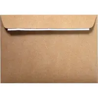 Netuno Ecologische bruine enveloppen A5 - 162 x 229 mm - 50 stuks - HK zelfklevend met plakstrip - 120 gram - Eko Design -
