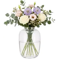 DK Design bloemenvaas Florelle - glas - 19 x 28 cm - boeketvaas