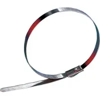 Lapp 61813088 STAHLKABELBINDER LSC 4,6 - 200 Kabelbinder 100 stuk(s)