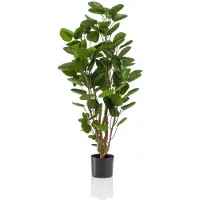 Green Boutiq Kunstplant - Polyscias - Aralia - 105 cm