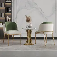 Great han Set van 2 moderne eetkamerstoelen met schuine poten, verstelbare voetjes, bekleed, geschikt voor keuken en woonkamer, verkrijgbaar in groen, goud en beige
