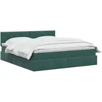 vidaXL Opbergbed met hoofdeinde Donkergroen 160 x 200 cm Fluweel