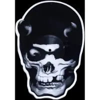 Import Skull shaped picture disc/ed limitee