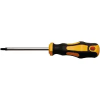 Bgs Schroevendraaier - Torx T25 - Meslengte 100 mm