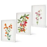 Coloray 3-Delige Schilderij Set - Vintage Retro Bloemenschilderij - 40 x 60 - Wanddecoratie - Schilderijen Set - Kantoor - Stijlvolle Muurdecoratie