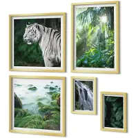 Coloray 5-Delige Schilderij Set - Tropische Natuur Met Wilde Dieren En Watervallen - 50 x 50 cm, 20 x 30 cm En 40 x 60 cm - Decoratieve Muurdecoratie - Slaapkamer - Interieur Decoratie