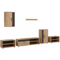 Vicco Woonwand Berno, Goudkleurig Eiken/Antraciet, Set van 6 stuks