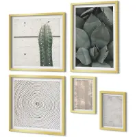 Coloray 5-Delige Schilderij Set - Zomerse texturen van dichtbij in een tropisch klimaat - 50 x 50 cm, 20 x 30 cm en 40 x 60 cm - Decoratieve Schilderijen - Woonkamer - Interieur - Muurdecoratie