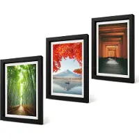 Coloray 4-Delige Schilderij Set - Bamboebos, Mount Fuji, Torii-pad, Landschappen van Japan - 20 x 30 cm - Decoratieve Schilderijen - Woonkamer - Interieur - Wanddecoratie