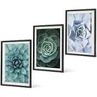 Coloray 3-Delige Schilderij Set - Vetplanten In Groene En Turquoise Tinten. - 40 x 60 cm - Muurdecoratie - Decoratieve Schilderijen - Wohnzimmer - Wanddecoratie