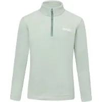 Regatta - Kids' Hot Shot II Half Zip Fleece - Fleecevest 15-16 Years, grijs