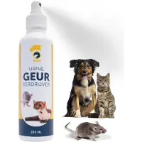 Excellent Eindelijk die vieze urinegeur van muizen en ratten kwijt