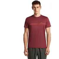 Icebreaker 150 Tech Lite Range Stripes T-shirt Met Korte Mouwen