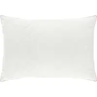 vidaXL Hoofdkussen FULDA 40 x 60 cm 100% Ganzendons en veer Wit