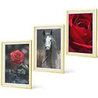 Coloray 3-Delige Schilderij Set - Houtpatroon, Boomschorsstructuur, Minimalisme - 40 x 60 cm - Wanddecoratie - Schilderijen Set - Kantoor - Muurdecoratie