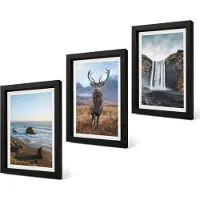 Coloray 4-Delige Schilderij Set - Berglandschappen met waterval, herten en strand - 20 x 30 cm - Stijlvolle Muurdecoratie - Kantoor