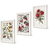 Coloray 3-Delige Schilderij Set - Vlinders, bloemen en rode rozen in een klassieke stijl. - 20x30 - Muurdecoratie - Wanddecoratie - Slaapkamer - Moderne Wanddecoratie