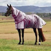 WeatherBeeta Comfitec Ripshield Vliegendeken met Afneembare Hals WIT/BORDEAUX 6'0/135cm