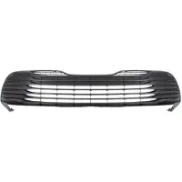 BLIC 6502-07-8167994P Ventilatiegrille, bumper