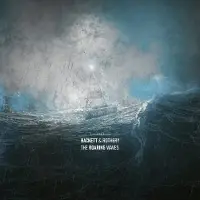 Sony music Steve Hackett, Steve Rothery- The Roaring Waves (CD)